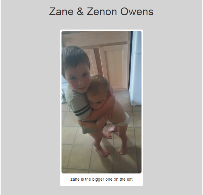 zane and zeonon my boys